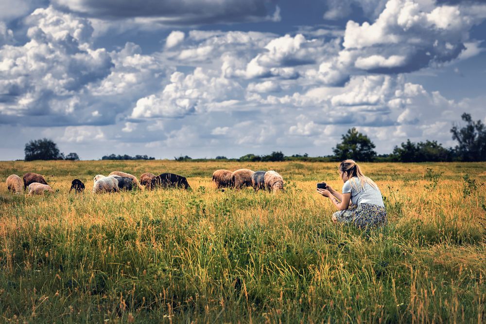 Photograph by Виталий Шкадинов