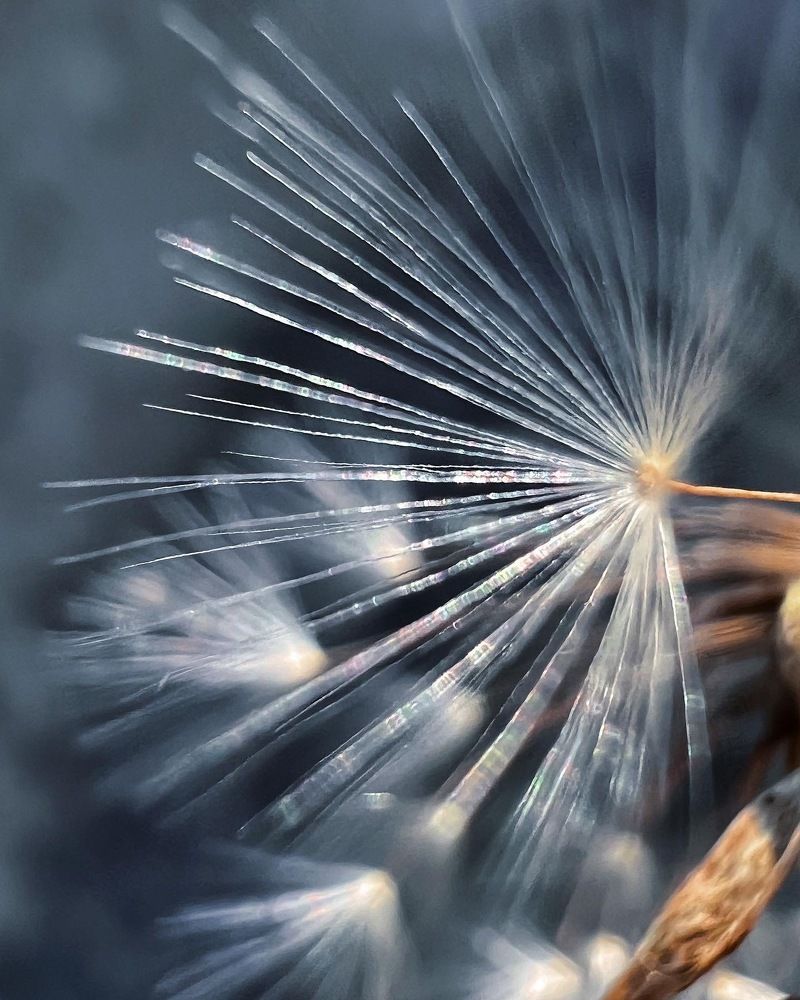 Photograph by Татьяна Волохова