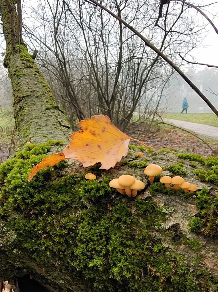 Photograph by Marina Green