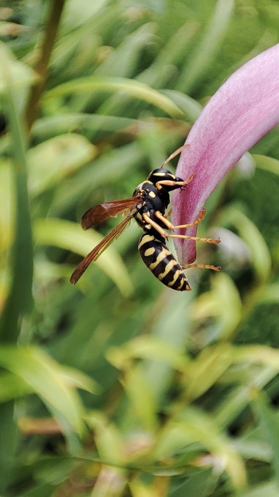 Photograph by Ангелина