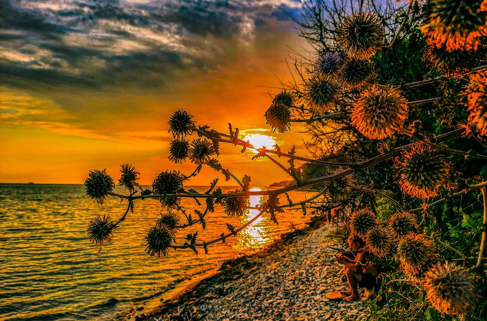 Photograph by Галина Искандарова