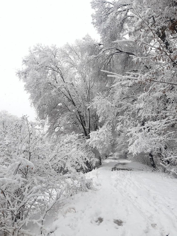 Photograph by Наталья Балеевских