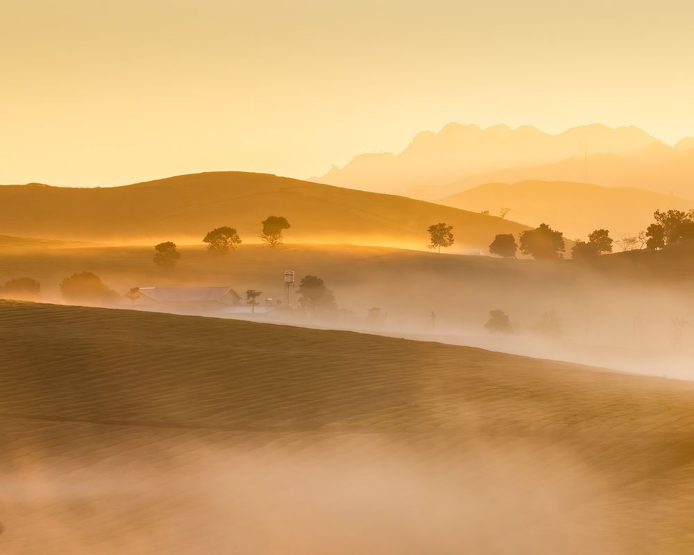 Photograph by MT-nguyen