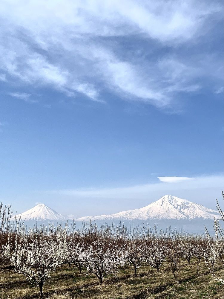 Облако над Араратом