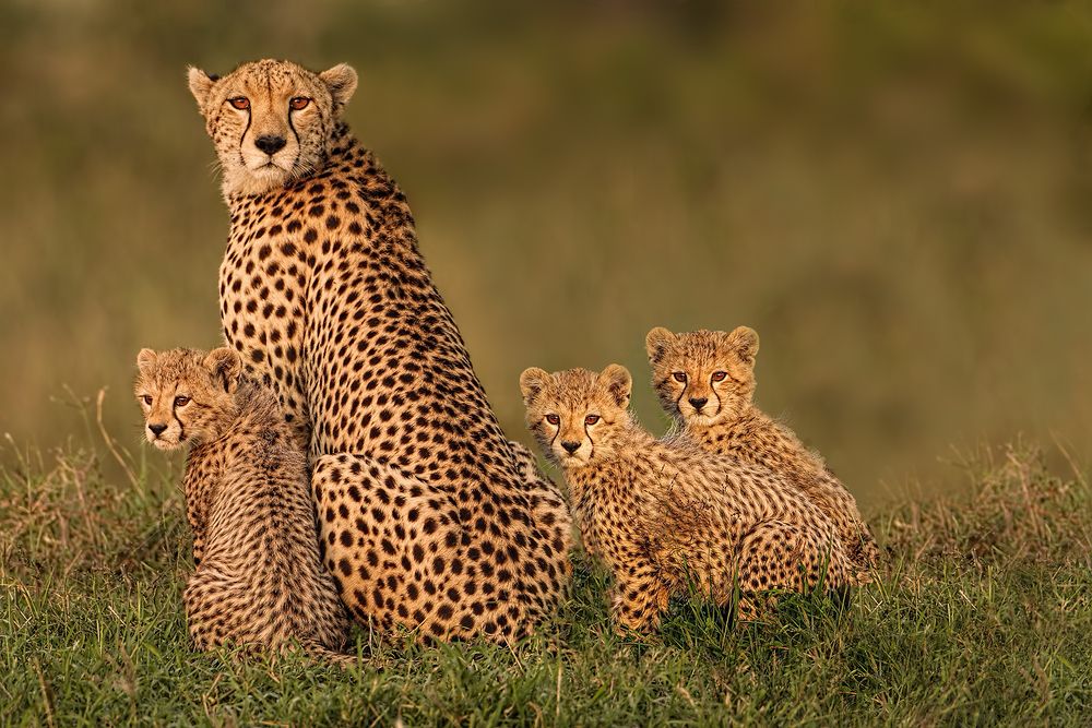 Photograph by Graeme Guy