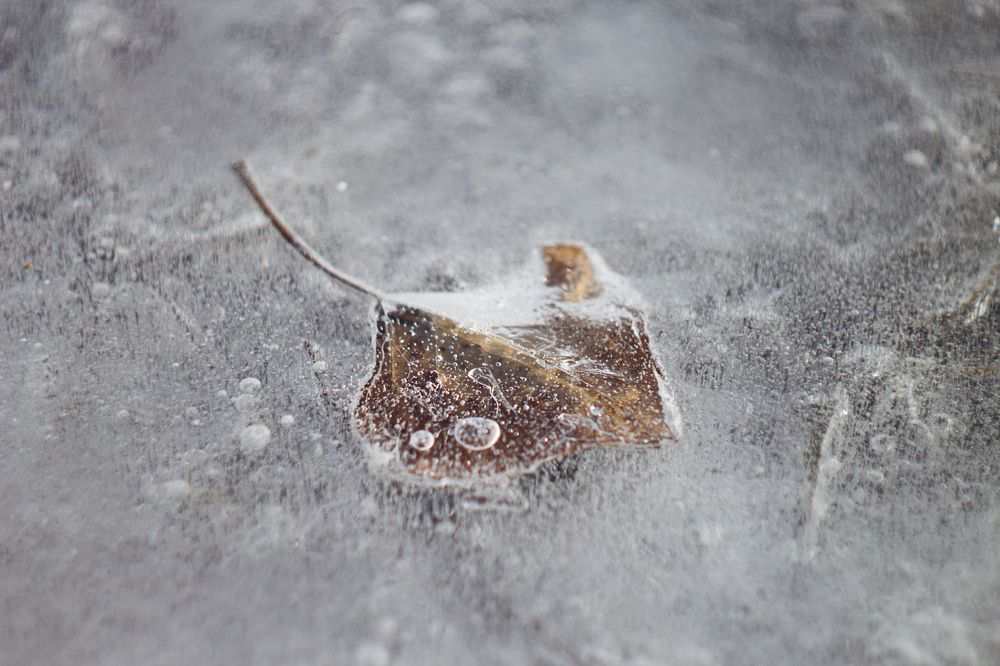 Photograph by Дмитрий Рзянин