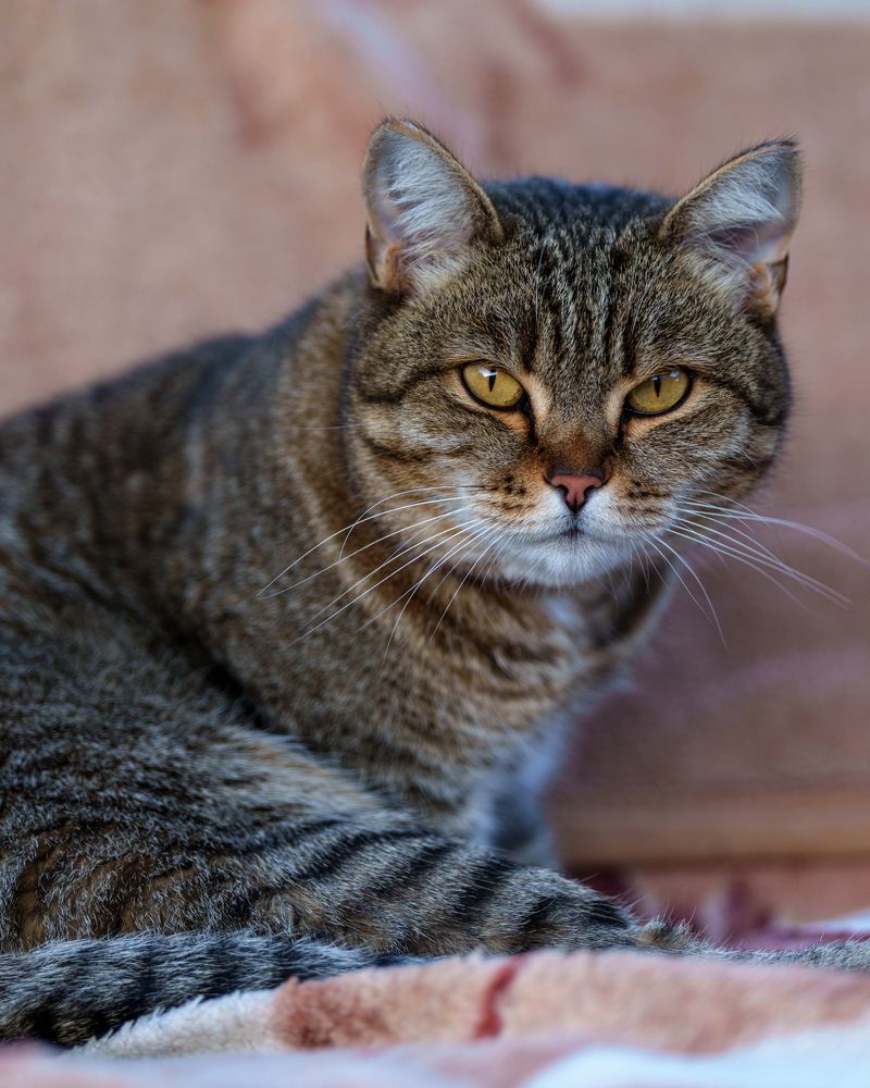 Photograph by Татьяна