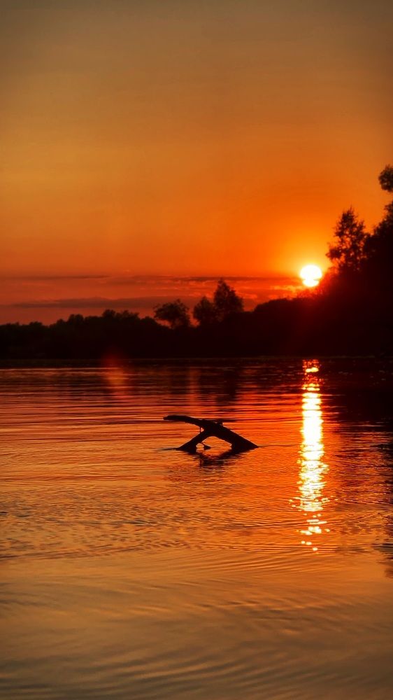 Photograph by Elena Makarova