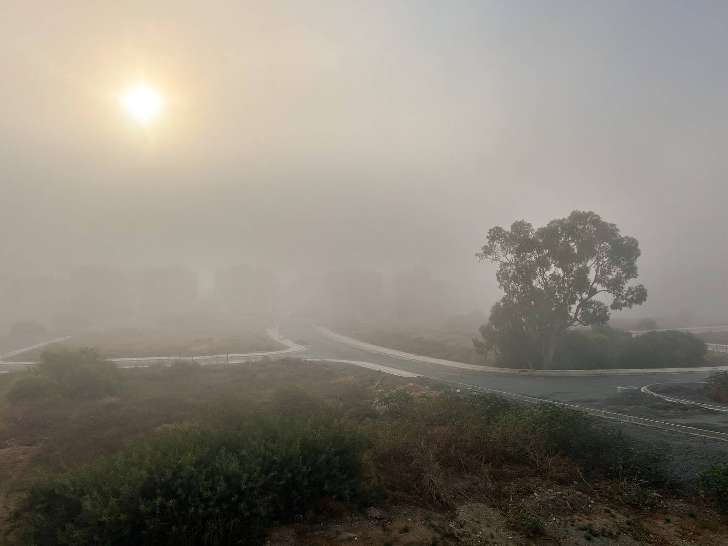 Photo #9476573