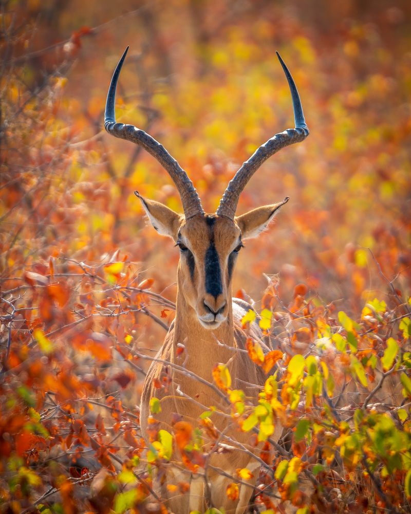 Photograph by Илья Труханов