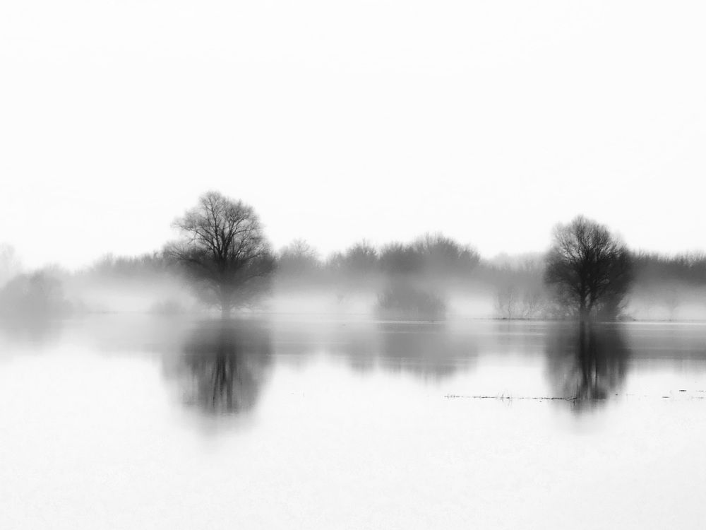 Туман на Днепре