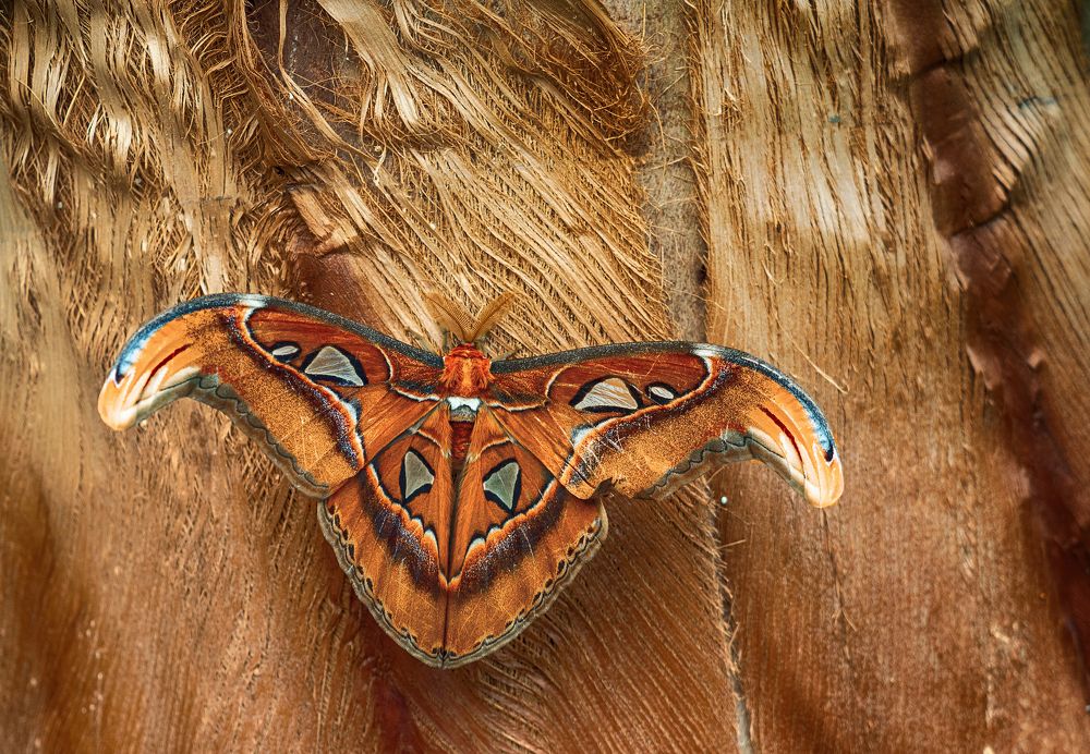 Photograph by Михаил