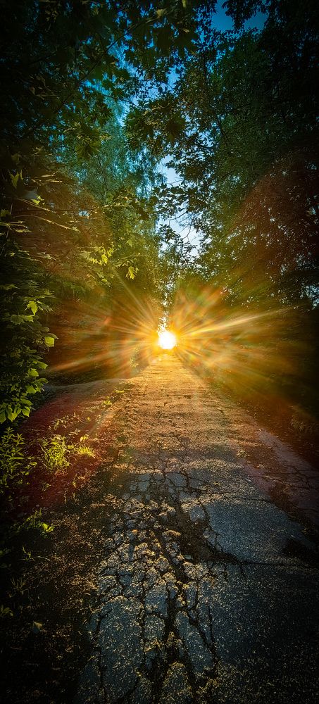 Photograph by sp150rus