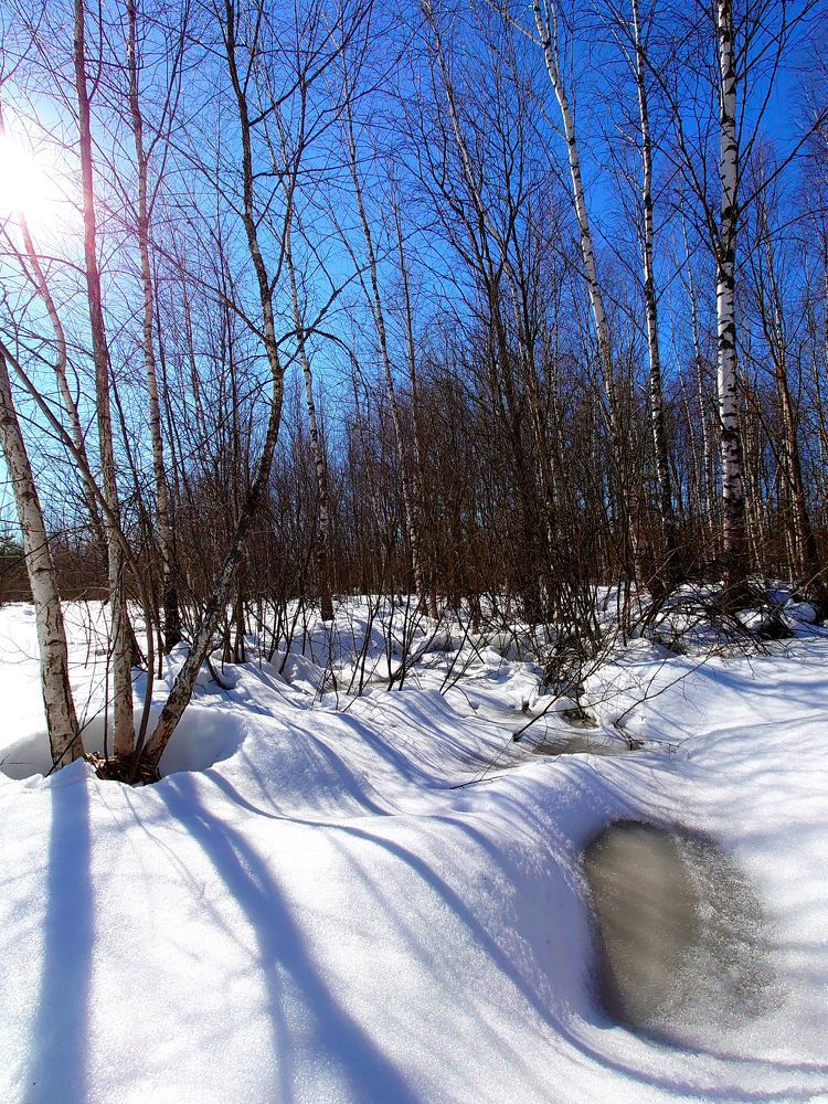 Photograph by Юрий Сычев