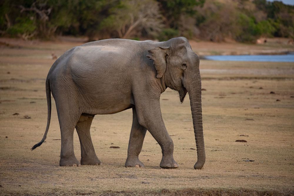 Photograph by Ангелина Ильичева