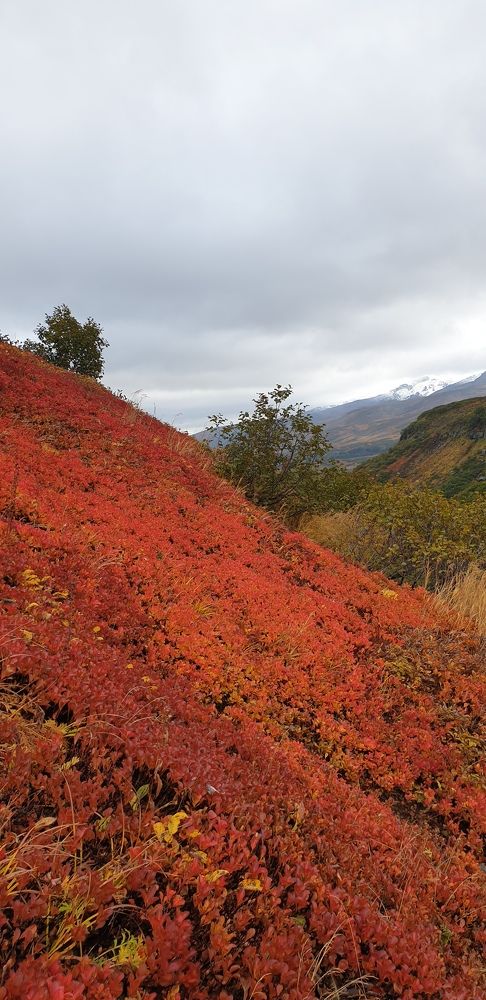 Фотография автора Татьяна Канашина