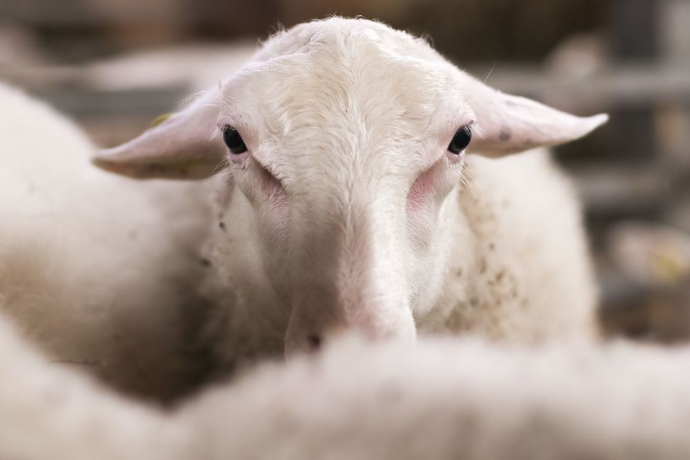 Photograph by Наталья Гайдукевич