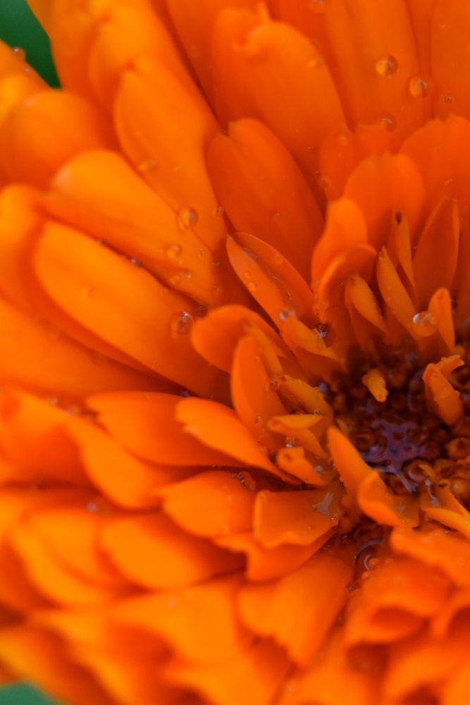 Photograph by Ирина Лучинская