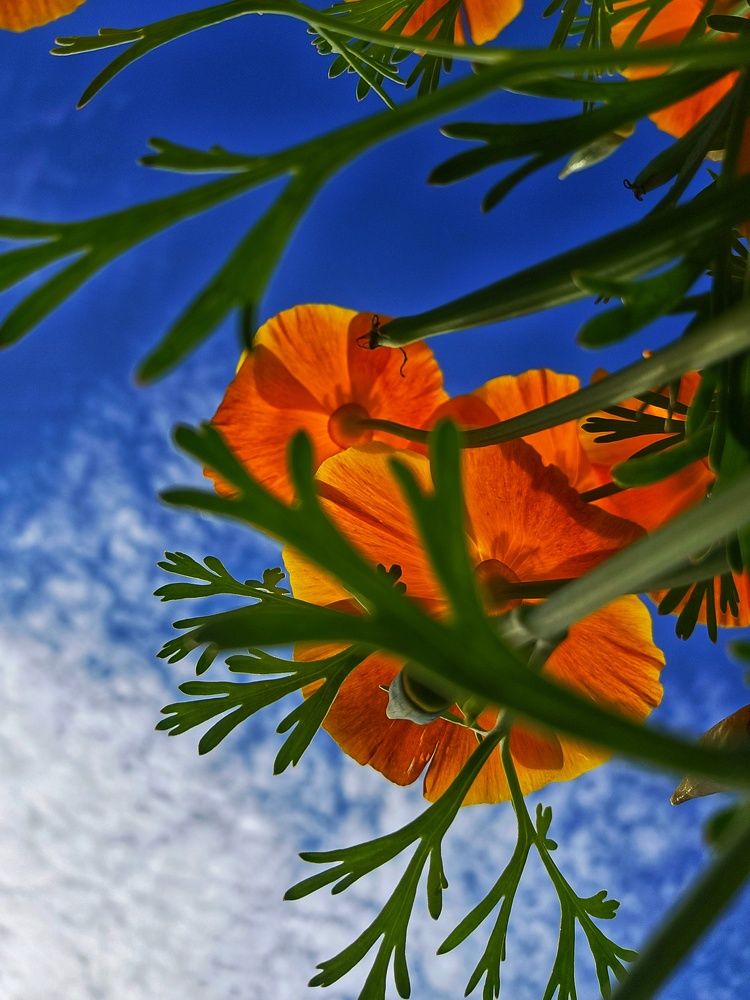 Photograph by Ирина Лучинская