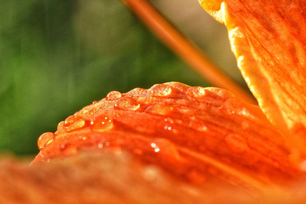 Photograph by Ирина Лучинская