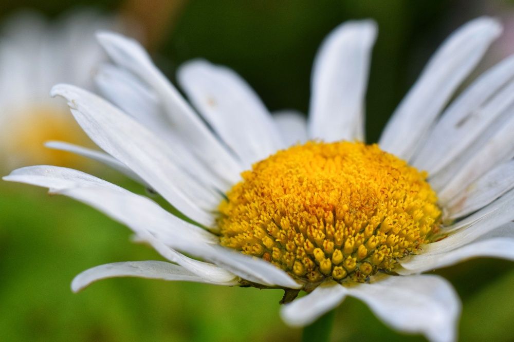 Photograph by Ирина Лучинская