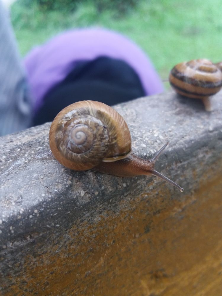 Photograph by Babak Akvan