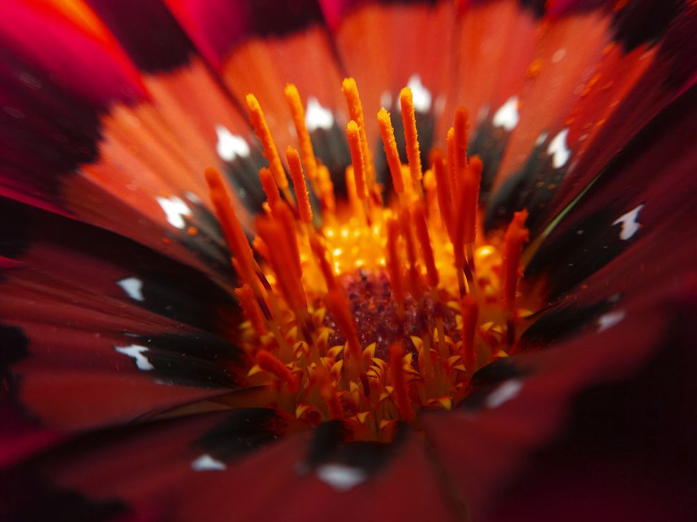 Photograph by Ritu Dinkar