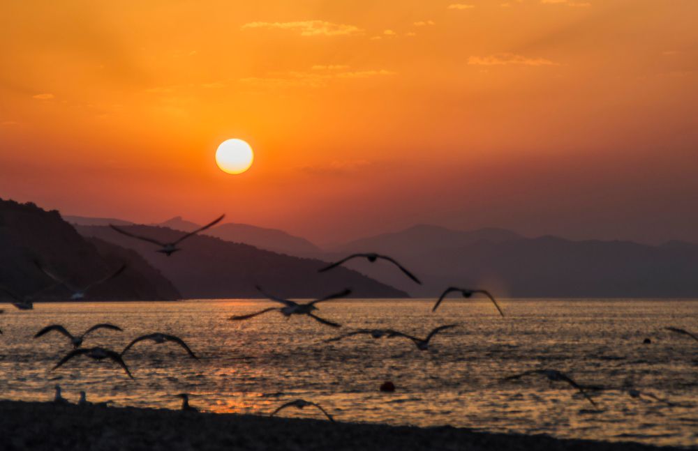 Photograph by Андрей Евтеев