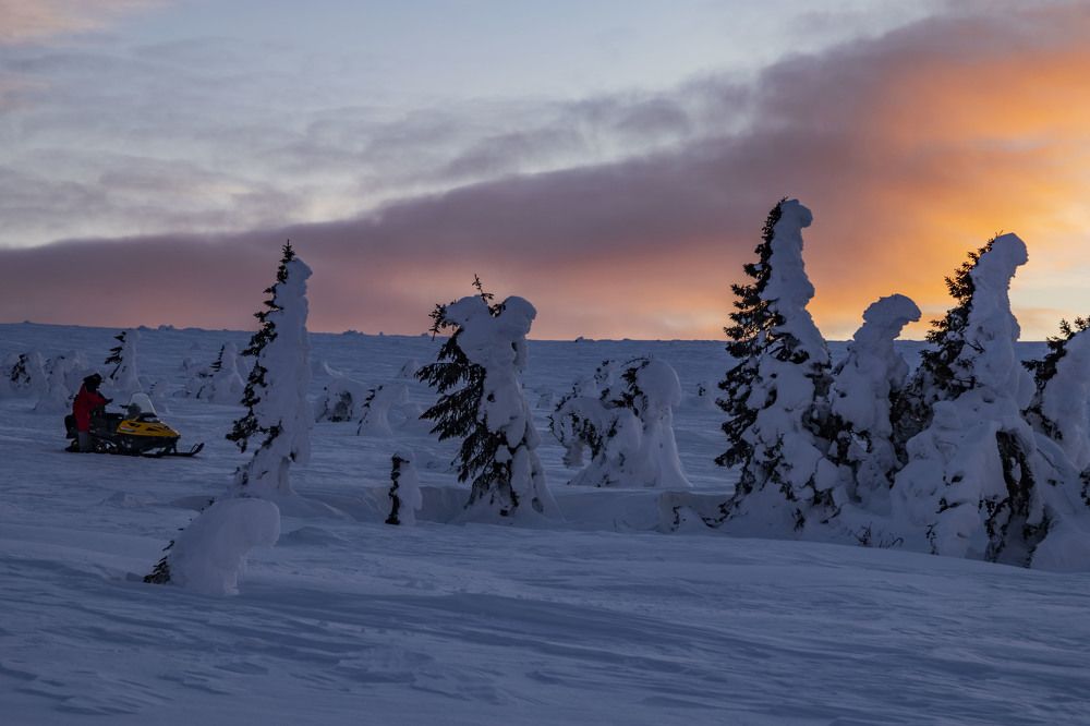 Photograph by Елена Перминова