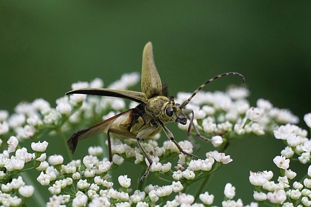 Photograph by Галина Кан
