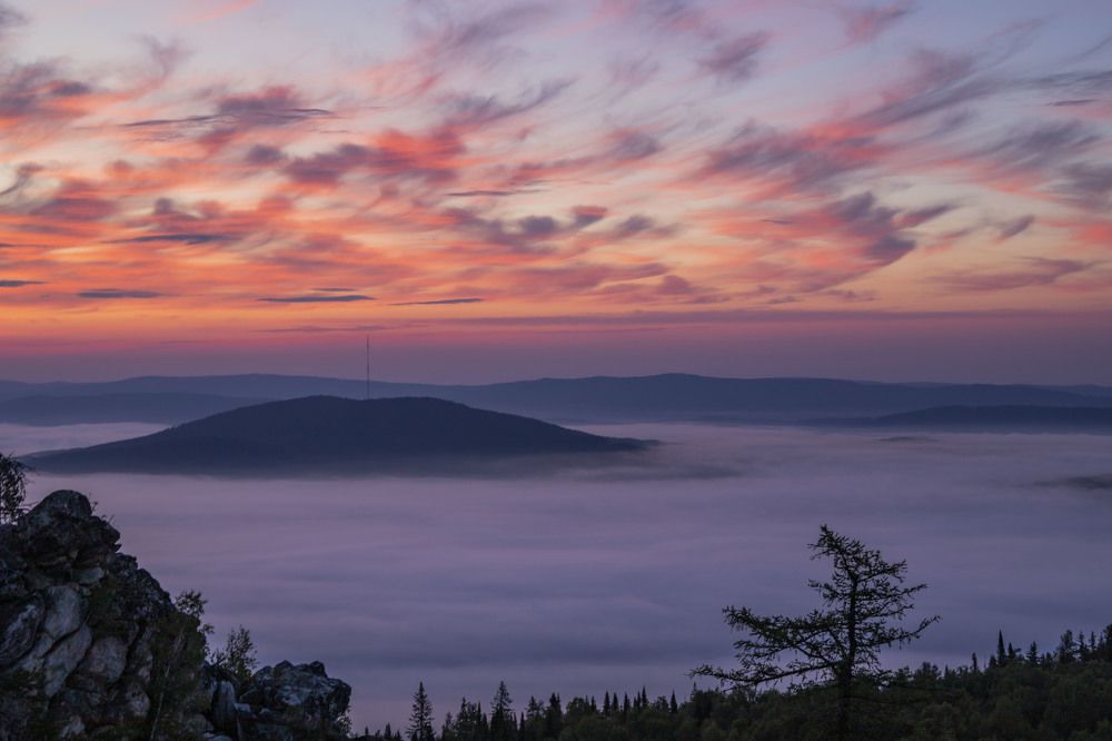 Photograph by Елена Перминова