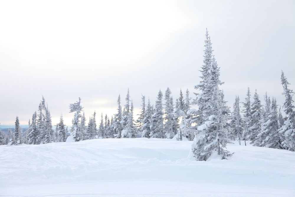 Photograph by Алина Перескокова