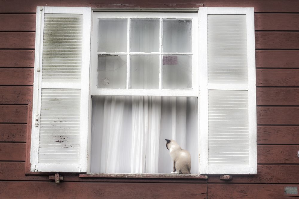 Photograph by Régis Santos