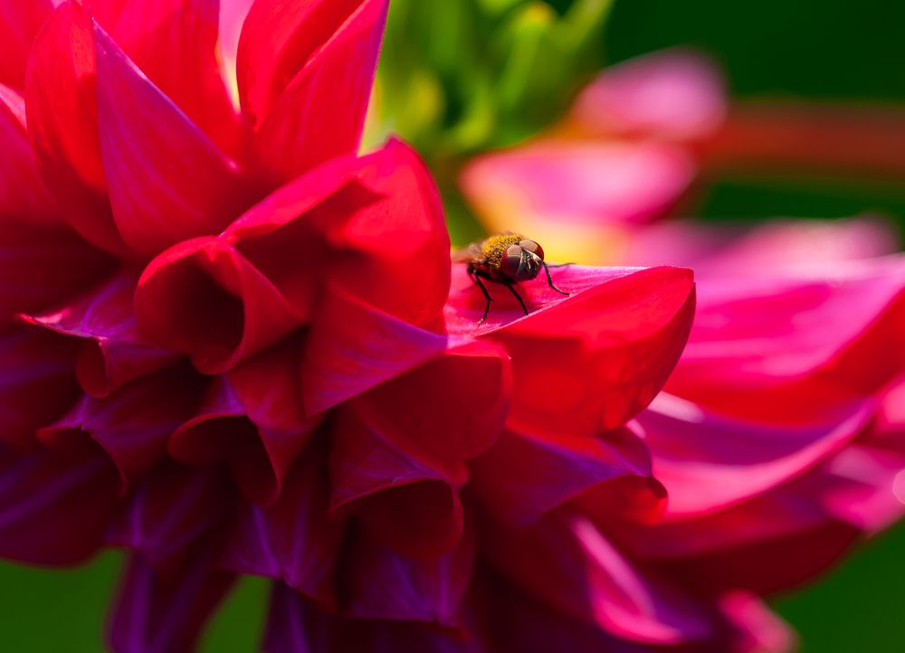 Фотография автора Олег Анатольевич Загорулько