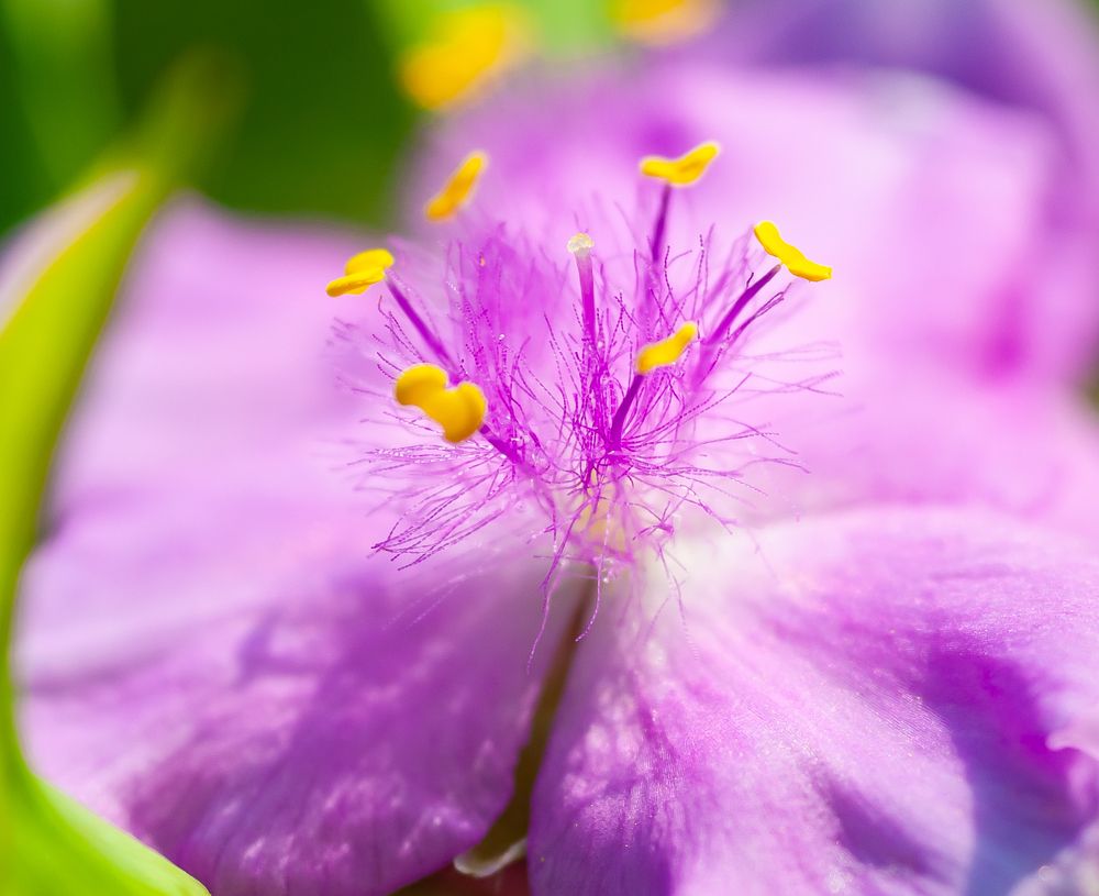 Фотография автора Олег Анатольевич Загорулько