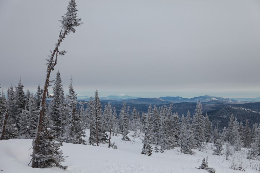 Photograph by Алина Перескокова