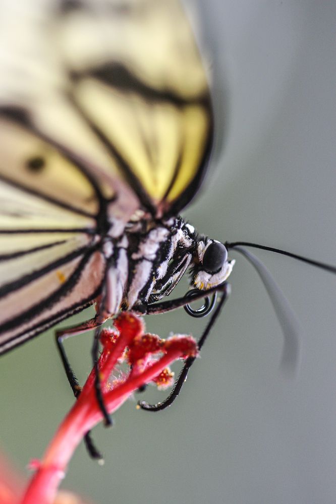 Photograph by Midge Engelbrecht