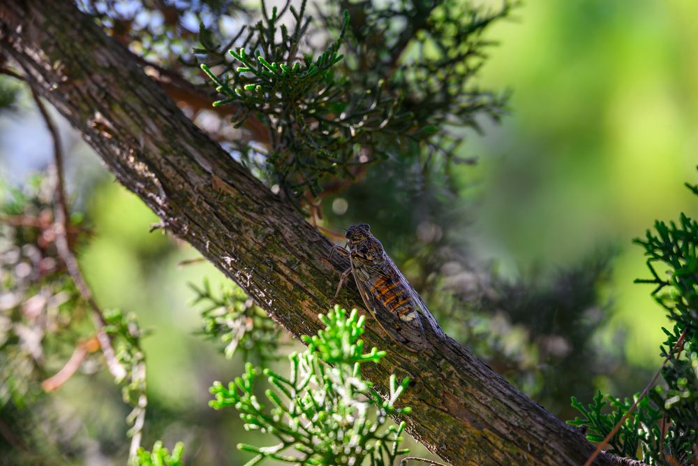 Photograph by Андрей Серга