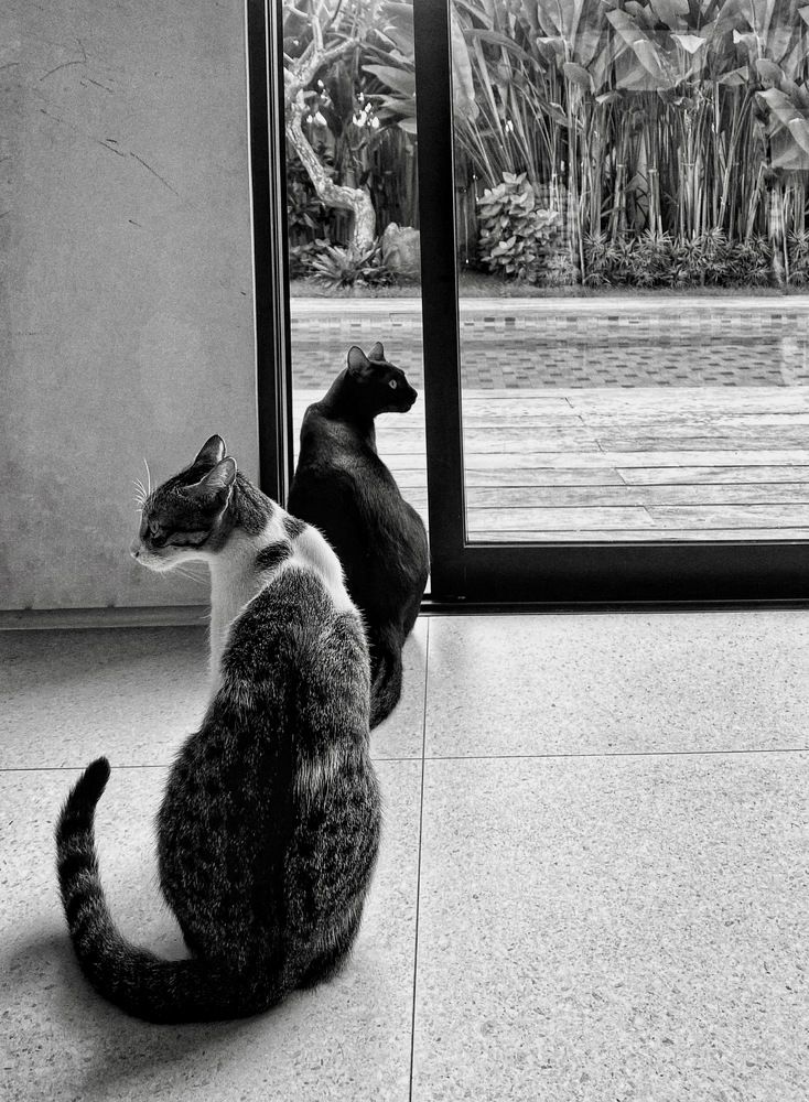 Photograph by Ирина Сорока