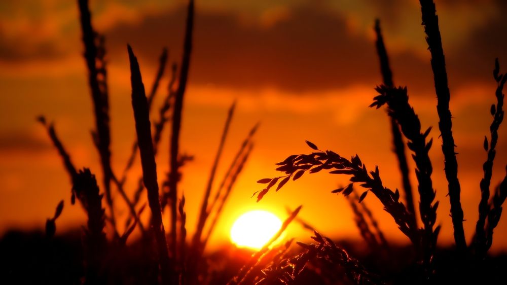 Photograph by Александр Поздняков