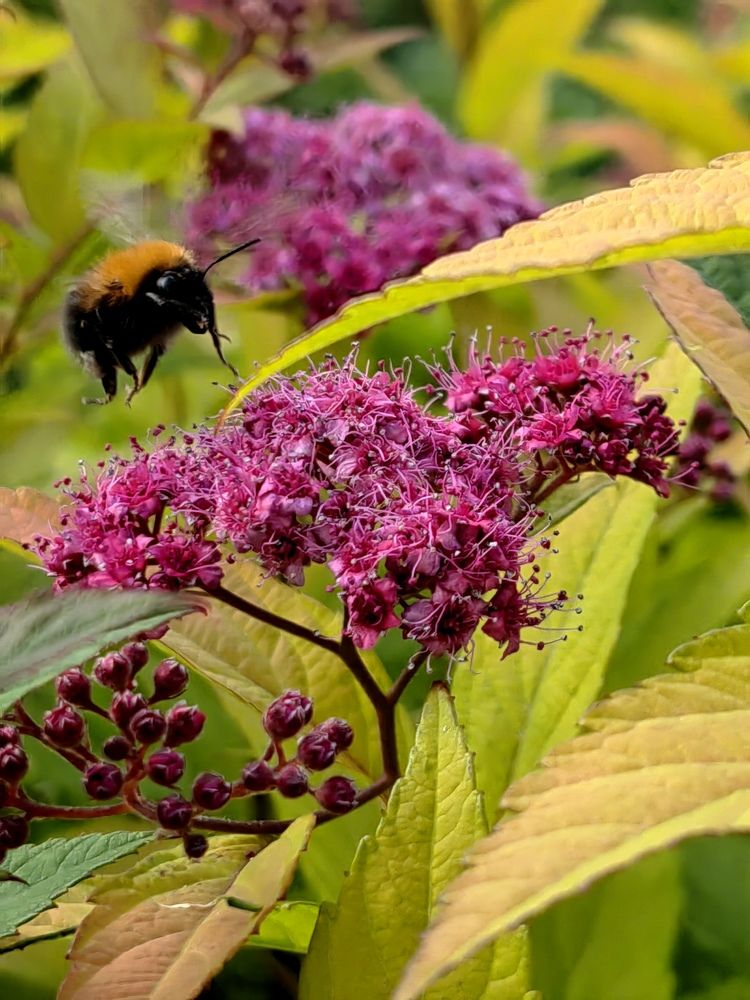 Photograph by Полина Мальцева