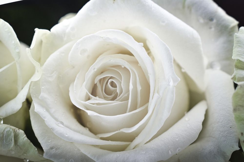 Красота в деталях