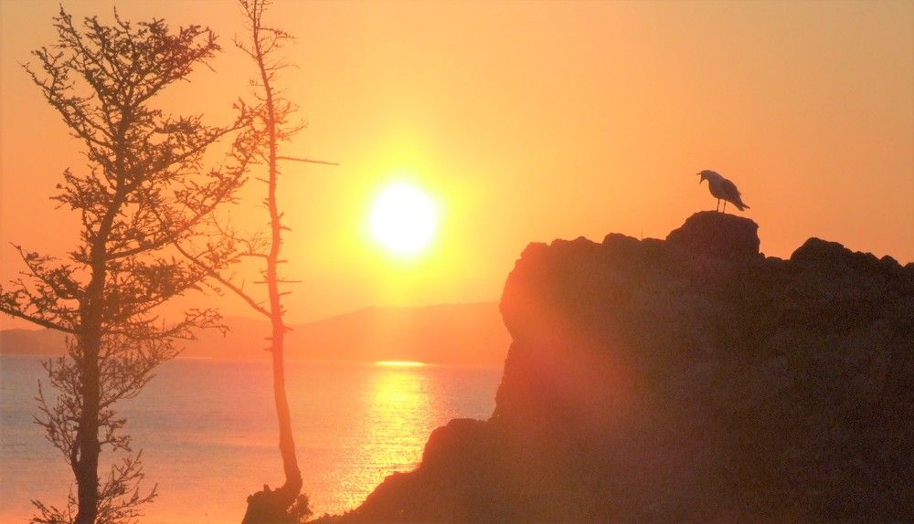 Разговор на равных.