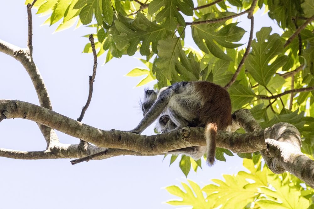 Photograph by Иван Соловьёв