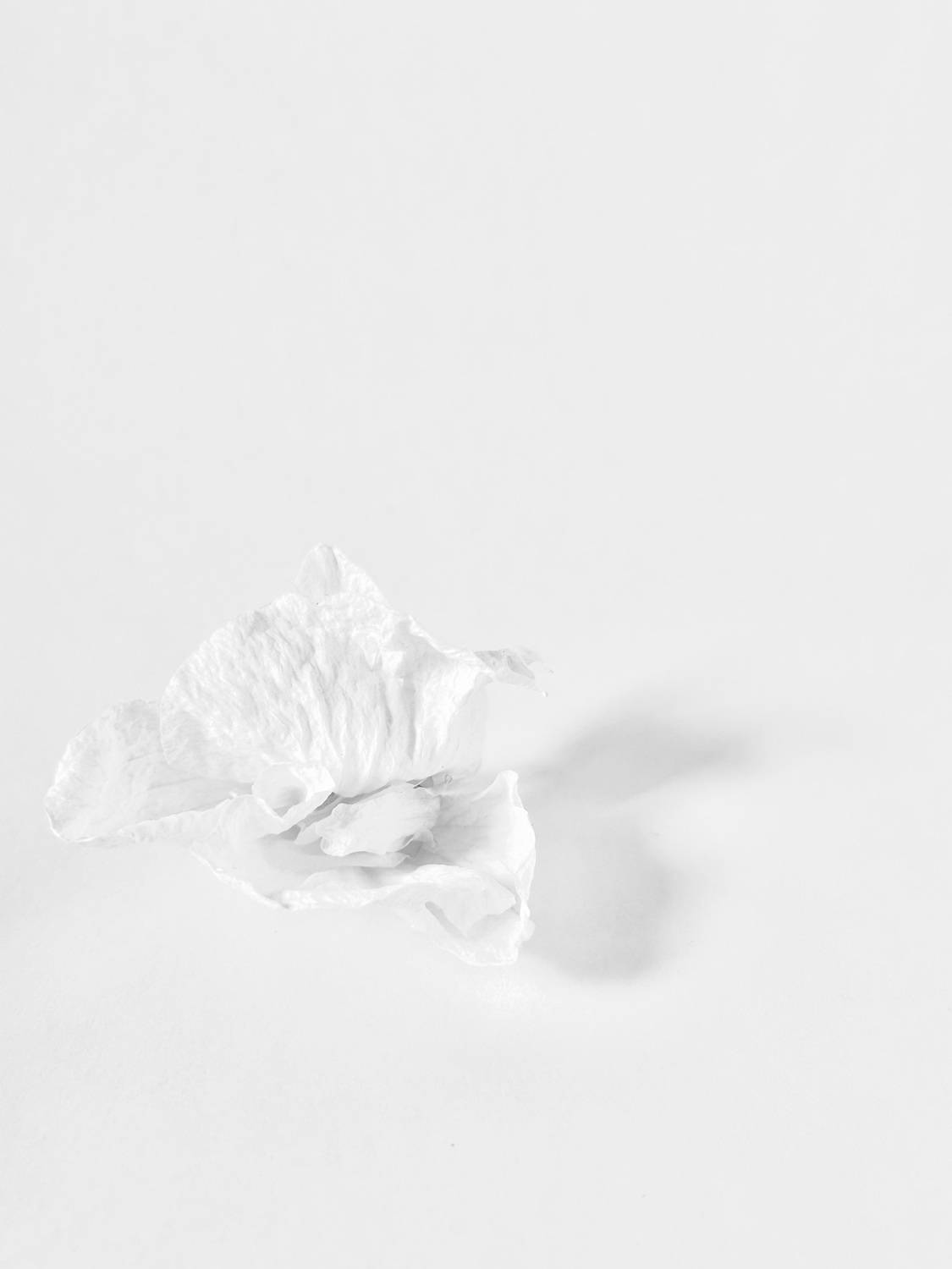 Photo #9477600