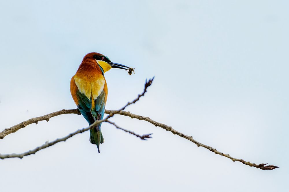 Photograph by Александр Перегудов