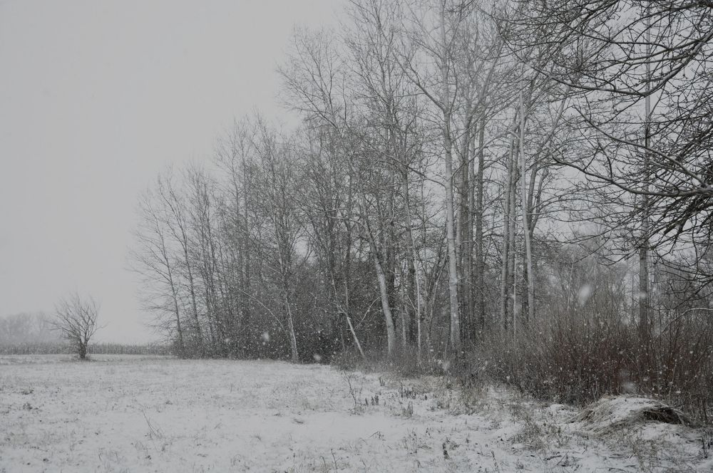 Photograph by Галина Лысых