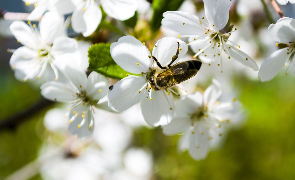 Photograph by Елизавета Большакова