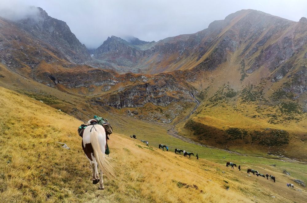 Photograph by Юлия Зубкова