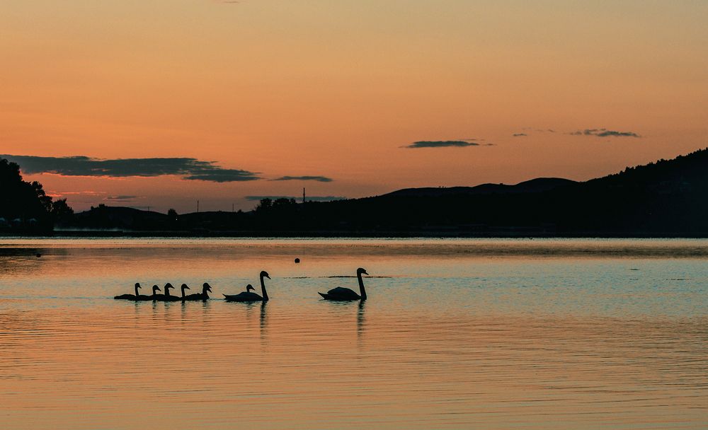 Photograph by Сергей Шварцман